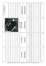 Faltbuch-Malaienbär.pdf